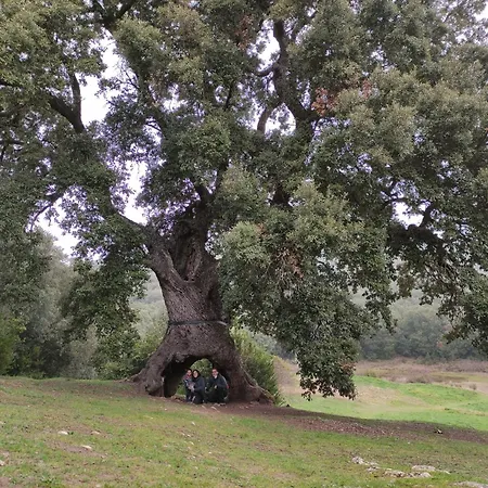 Hébergement de vacances La Casa De Uat01610